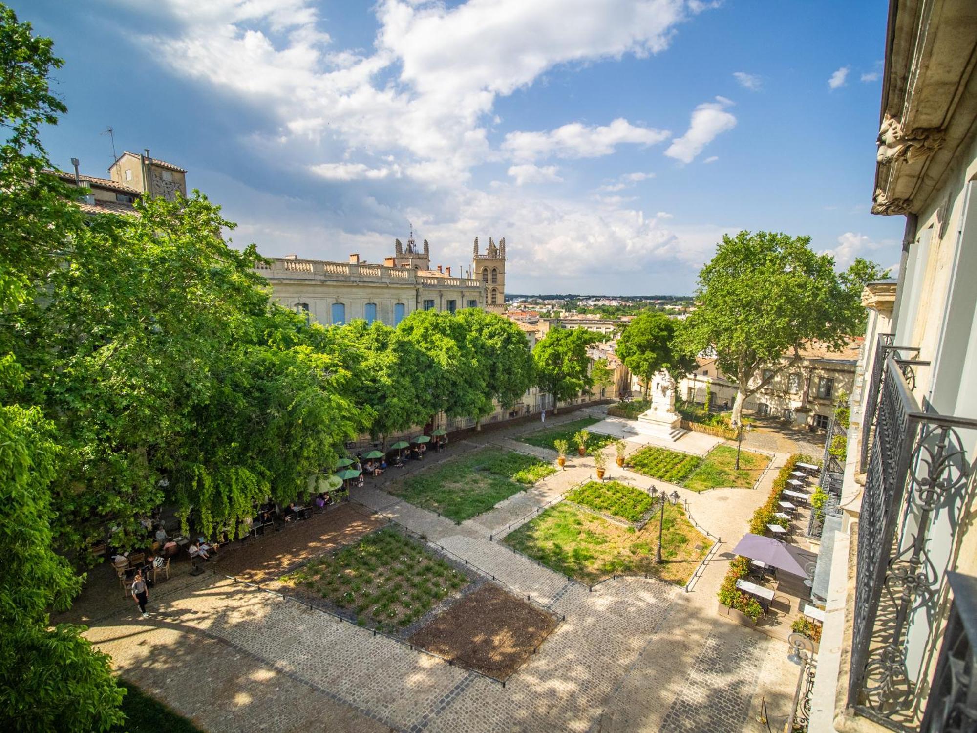 Le Platane De La Canourgue Montpellier Zewnętrze zdjęcie