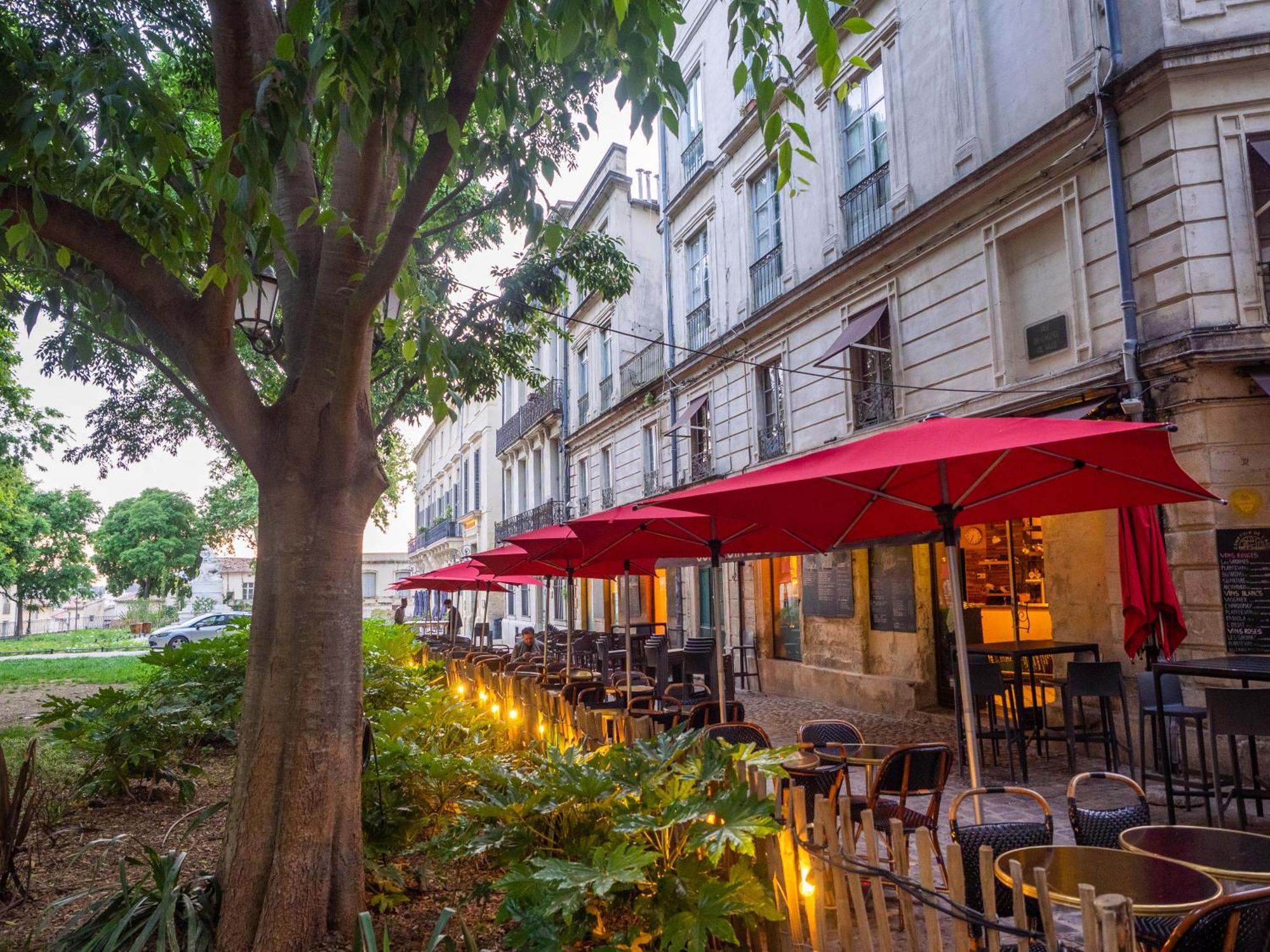 Le Platane De La Canourgue Montpellier Zewnętrze zdjęcie