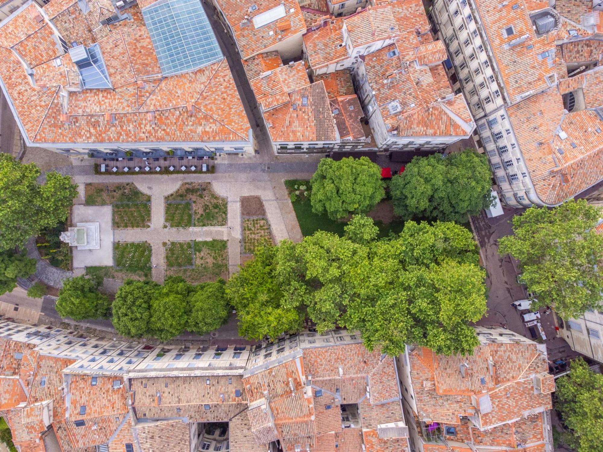Le Platane De La Canourgue Montpellier Zewnętrze zdjęcie